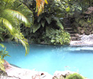 Natural Swimming Pool