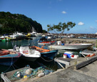 Caribbean Fishing Boat Port