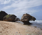 Caribbean Beach Rocks