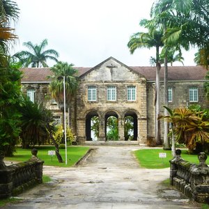 Massive colonial coral stone  building in Caribbean park location
