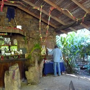 Mangrove jungle bar, rustic style in Dominica