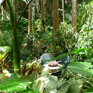 Lush tropical flower garden on Caribbean filming location