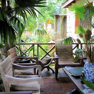 Lush tropical flower garden veranda