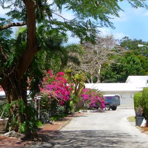 Caribbean village street location with colorful flowers