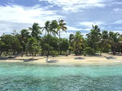 Dense Vegetation With Palm Trees On Powder White Sandy Beach On A Grenadine Island