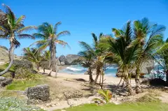 Picturesque Monoliths On Raw Natural Beach With Pebbles And Coconut Trees And Dark Blue Surfer Sea