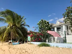 Beach House In White With Flower Bushes In Front Of Terrace