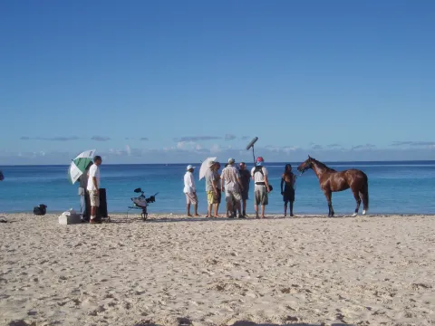 Commercial shoot with horse on beach in Caribbean Beach