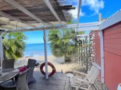 Boho Beach Shag In St Martin With Shells And Palm Trees For Perfect Social Media Production