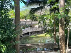 Brigdes In White Barock Style Crossing A Pond In Natural Tropical Parc