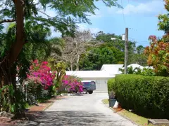 Caribbean Village Street Colorful Flower Location