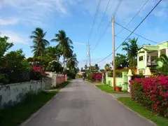 Colourful Flower Lined Street Caribbean Village