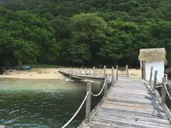 Grenadine Island With Exceptional Dense Vegetation And Wooden Jetty On Deserted Beach