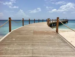 Long Wooden Jetty Curved And With Rope Railing On Barbados Sandy Beach And Crystal Clear Water