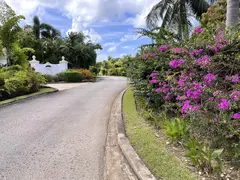 Luxury Resort Entrance Gate With Pink Bougainvillae Bushes Lined Path To Colonial Clubhouse