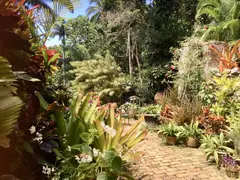 Magnificent Rich Multi Colored Plants And Flowers In Garden With Cobblestone Path