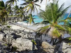 Palm Beach On White Sand Below High Rocks On Caribbean Island For Beautiful Fashion Spoto Shootings