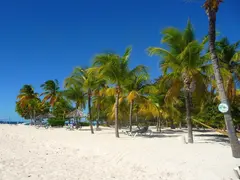 Palm Island Beach Location White Caribbean Sand