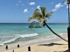 Palm Tree Leaning Over Turquoise Sea Onwhite Beach Front For Barbados Filming