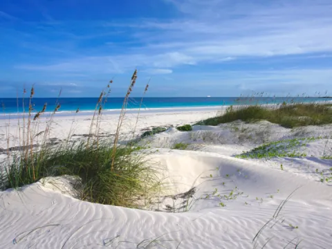 Powder White Fine Sand Dunes Along Turqoise Caribbean Sea On Bahamas Beach