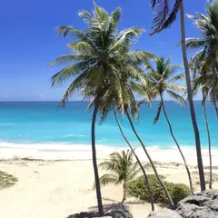 palm trees on white beach location with turqiouse sea &ndash; set up for fashion shoot