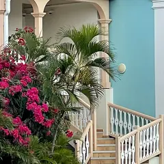 Stairs To House With Flowers