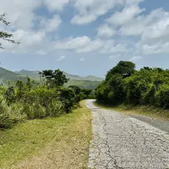 LANDSCAPE Winding Road On Caribbean Hill