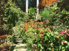 Stone Stairs In Natural Tropical Garden Leading Through A Sea Of Colorful Blossom