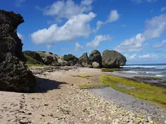 Stones Rock Formations And Boulders In Huge Sizes On A Pepple Stone Beach In Barbados With Rough Sea