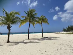 Swimwear Fashion Shoot Location On White Sandy Beach With Palm Trees And Blue Sea Barbados