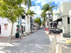 White Buildings In Narrow Elegant Shopping Road Lined With Palm Trees