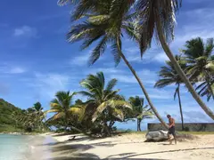 White Dream Beach In The Grenadines With Picture Perfect Palm Trees For Swim Wear Fashion Shootings