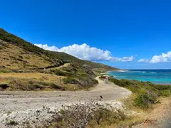 Winding Road Leading Down A Rolling Hill Along A Deep Blue Sea In The Caribbean