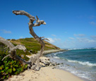 Atlantic Coast on Caribbean Island