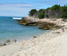 Stone Beach with Rocks and Green