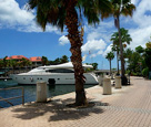 Luxury Yacht Marina