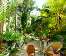 Tropical Flower Garden