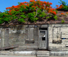 Wooden Caribbean Shack