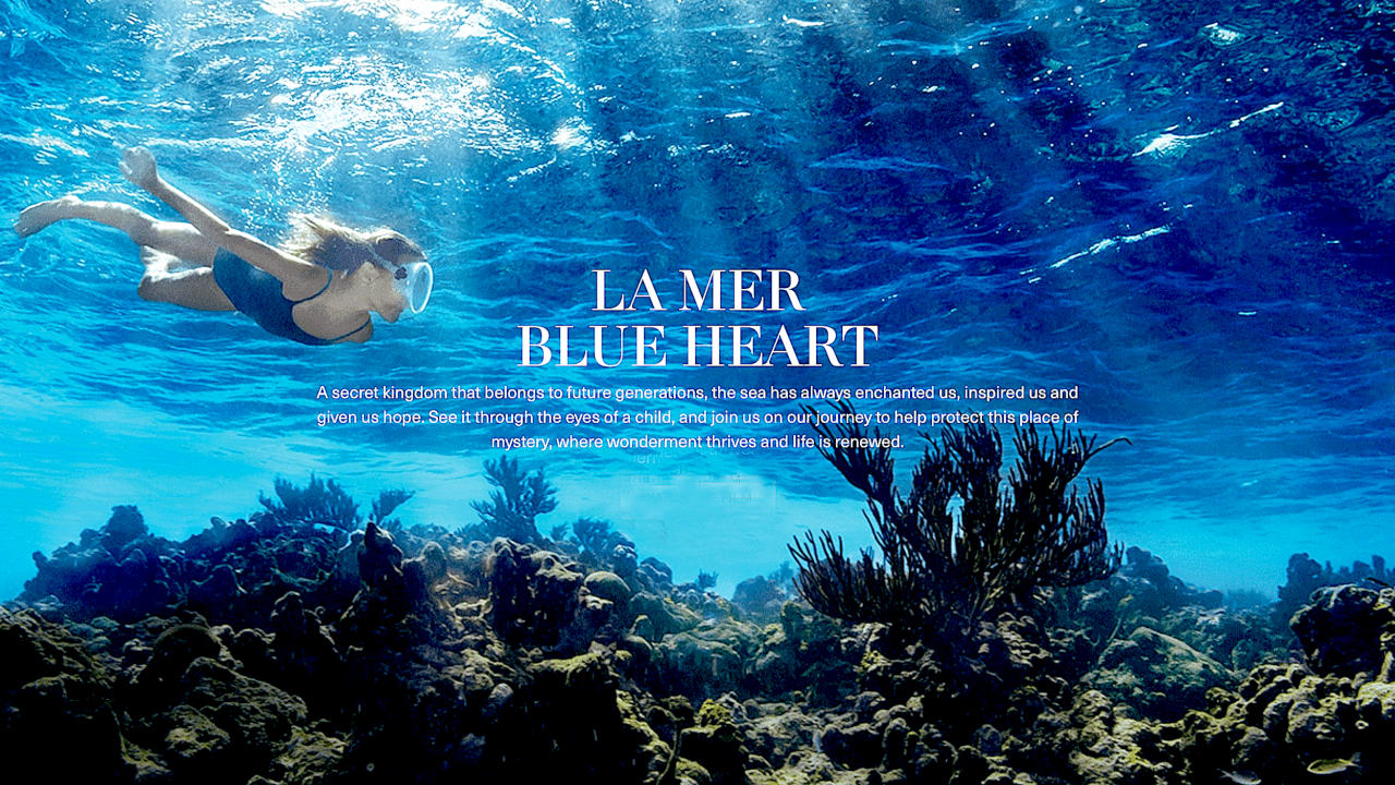 Grenadine Islands under water filming coral reefs charity commercial shoot La Mer cosmetic