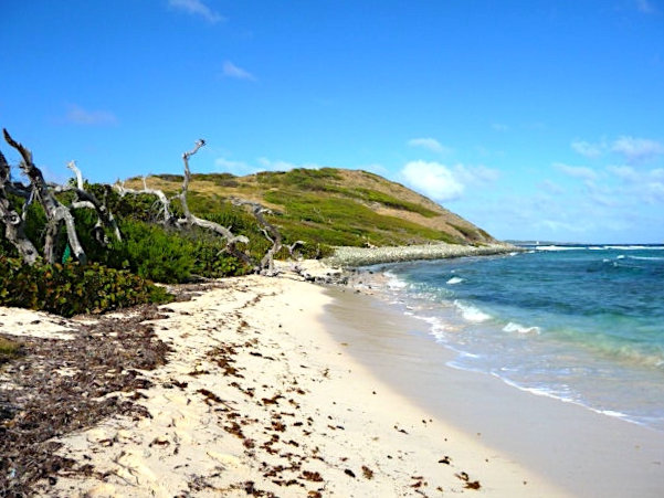 Natural raw beach along rolling hill and blue sea St. Martin