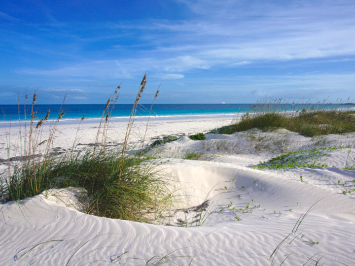 Powder white fine sand dunes along turqoise Caribbean sea on Bahamas beach