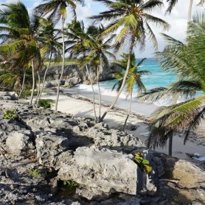 Palm beach on white sand below high rocks on Caribbean Island for beautiful fashion spoto shootings