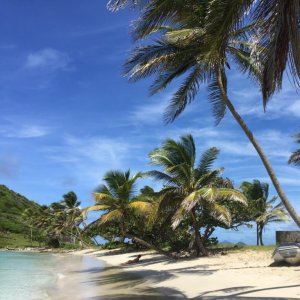 White dream beach in the Grenadines with picture perfect palm trees for swim wear fashion shootings