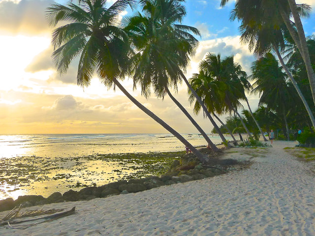 Beach Locations And Scouting For White Beaches In The Caribbean Path Under Palm Trees On Caribbean Sunset Beach Location