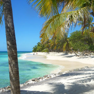 Tropical paradise beach with straw huts on Grenadine Island