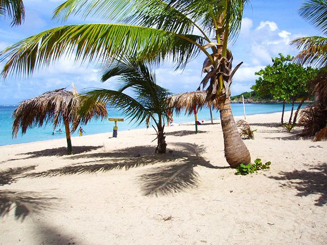 White palm beach French Antilles
