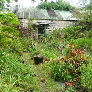 Ruin in lush Caribbean garden