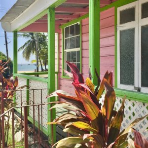 Pink colored typical Barbados chattelhouse with white and green decor color along porch rails and leafes of plants with view to the sea