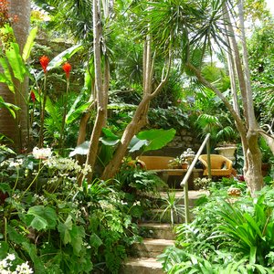 Tropical flower park location in the Caribbean