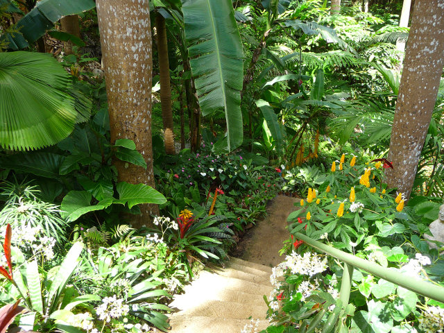 Tropical flower garden location Caribbean